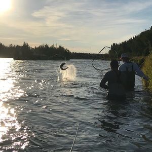 Meet your Posher, Maxwell